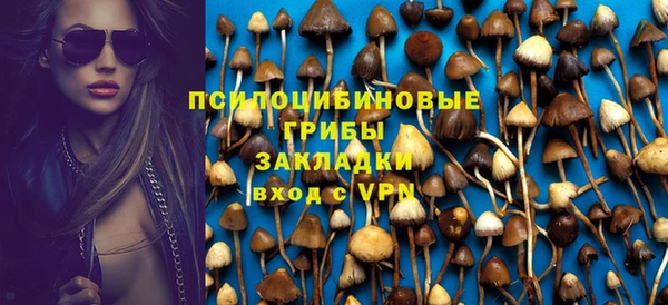 бутират Алексин