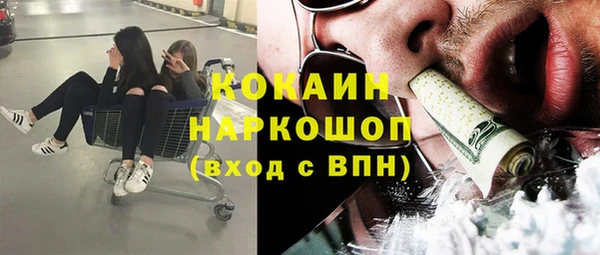 apvp Алзамай
