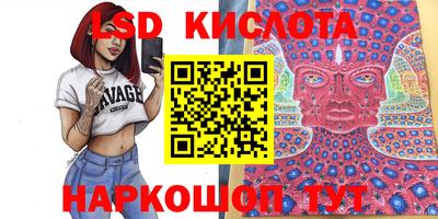 прущие грибы Пушкино
