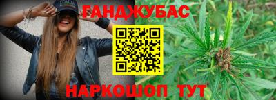 прущие грибы Пушкино