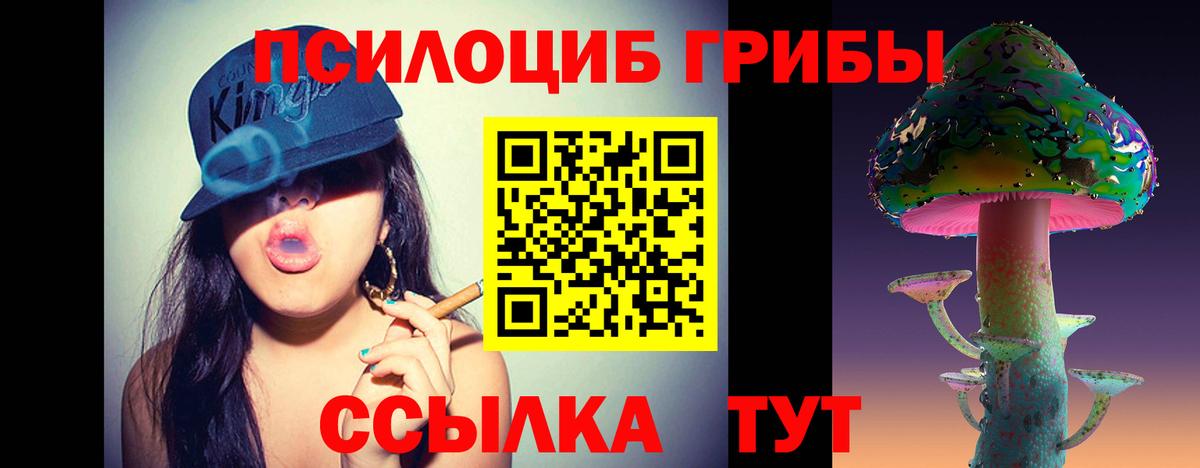 Галлюциногенные грибы мицелий  Псилоцибиновые грибы мицелий  Вход с VPN  Сухой Лог 